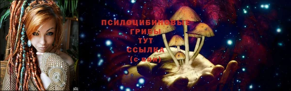 PSILOCYBIN Алексеевка