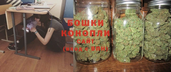 PSILOCYBIN Алексеевка